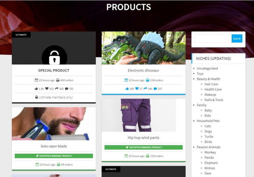 揭秘電商利基市場挖掘術 兩步精準打造你的2019年度爆款